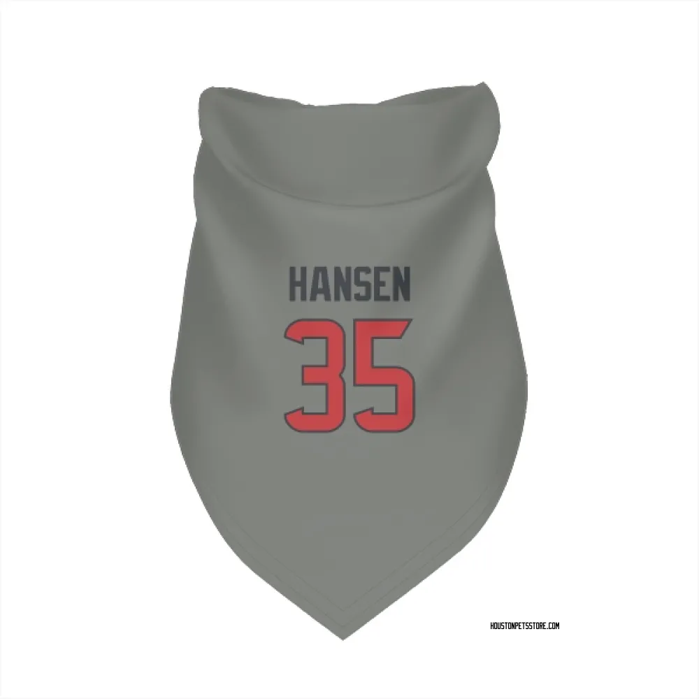 Houston Texans Jake Hansen Gray Pet Bandana for Dog & Cat