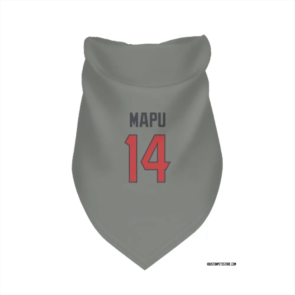 Houston Texans Marte Mapu Gray Pet Bandana for Dog & Cat