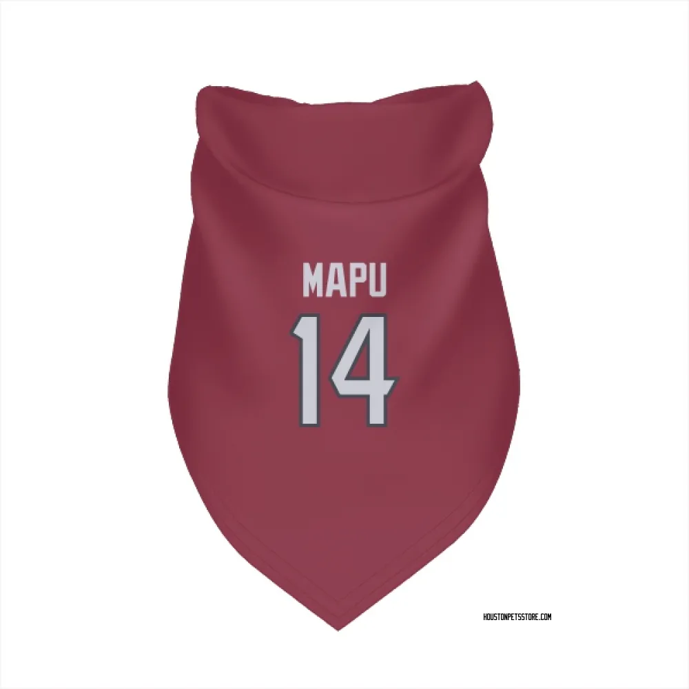 Houston Texans Marte Mapu Red Pet Bandana for Dog & Cat