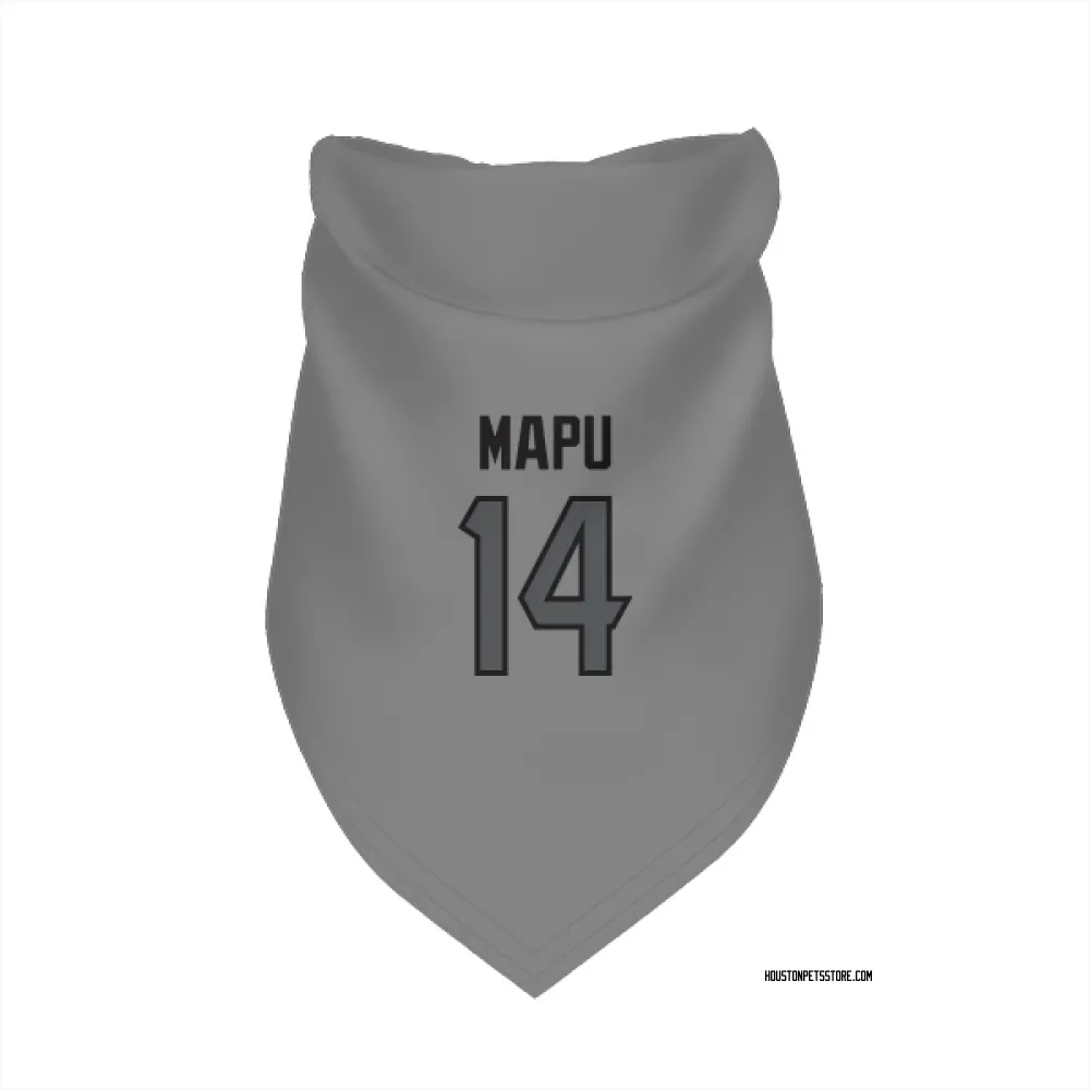 Houston Texans Marte Mapu Silver Pet Bandana for Dog & Cat