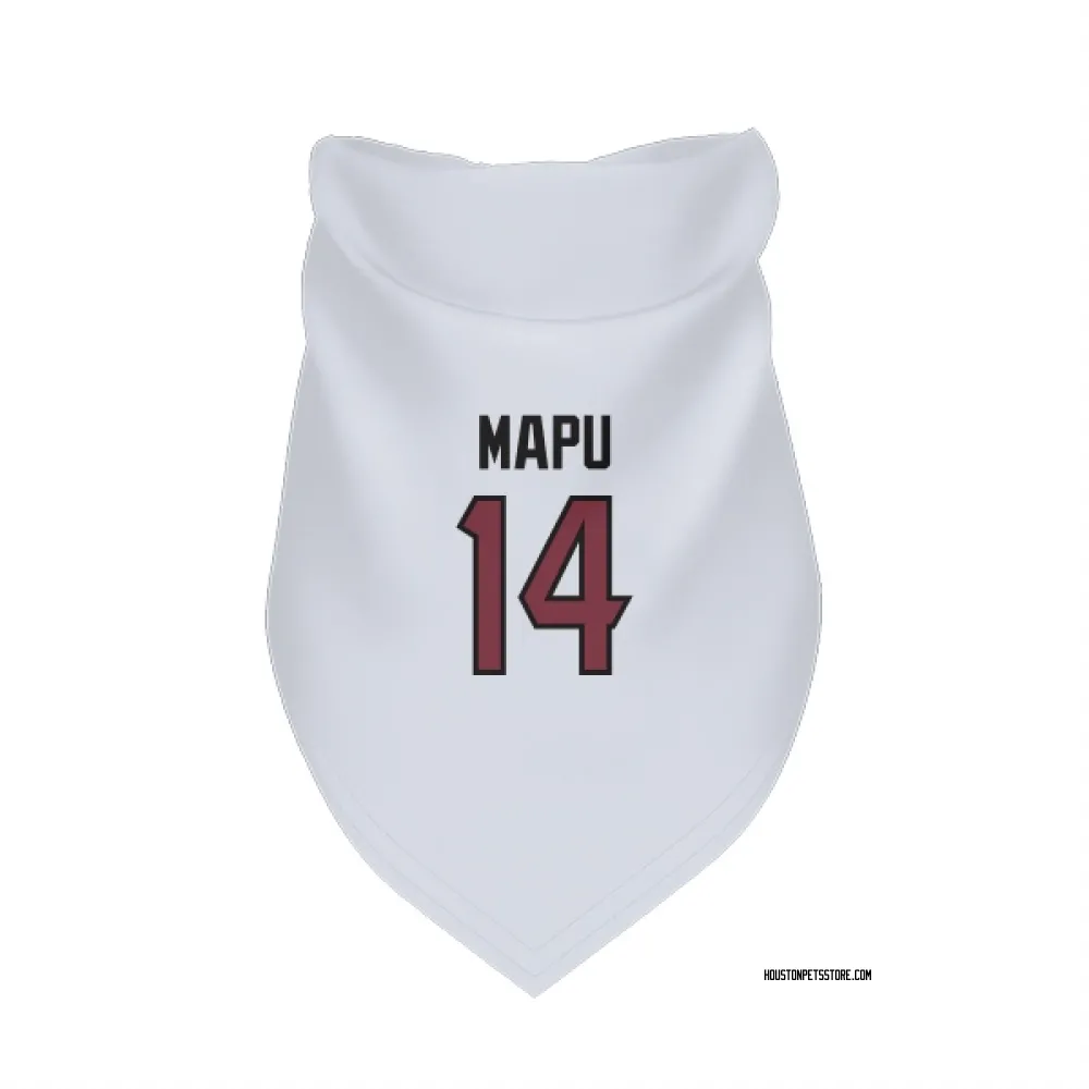 Houston Texans Marte Mapu White Pet Bandana for Dog & Cat